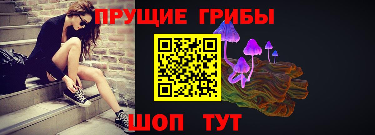 Галлюциногенные грибы ЛСД Курчалой